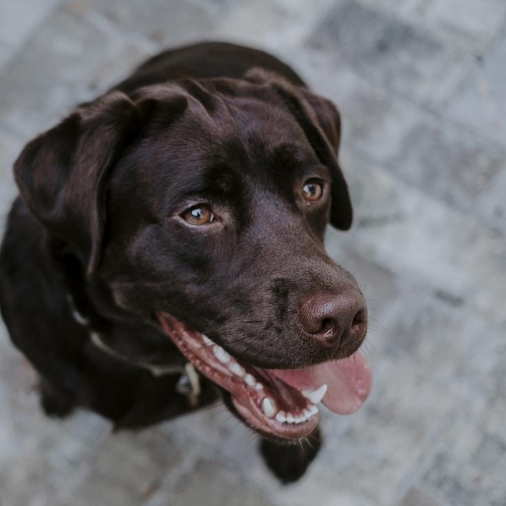 Portrait of Alex Carter, community mentor and Italian cuisine specialist